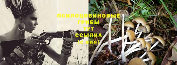 герыч Абаза
