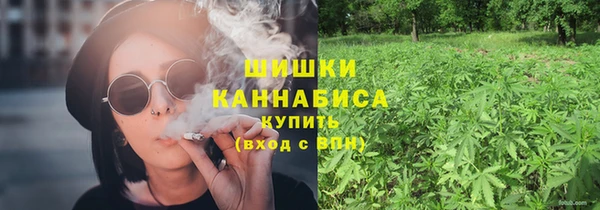 гашик Заводоуковск