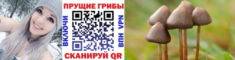 Псилоцибиновые грибы ЛСД  Новоаннинский 