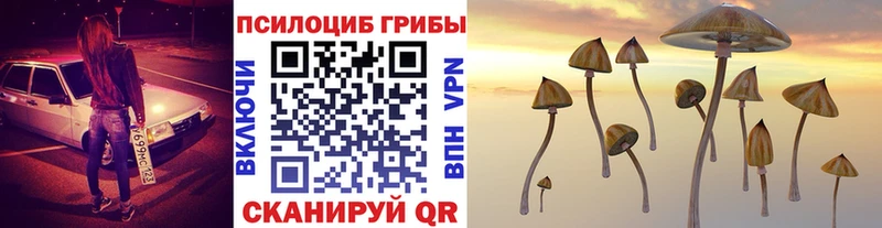 Псилоцибиновые грибы ЛСД Новоаннинский